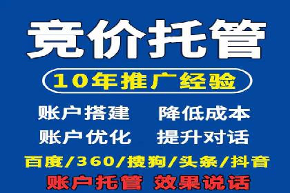 百度竞价排名机制：成功案例与策略探讨